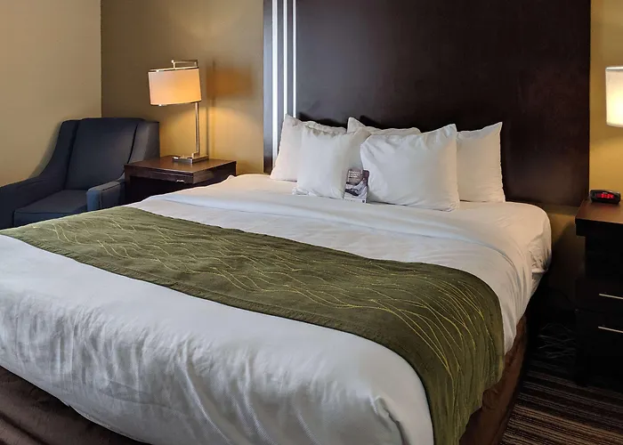 Comfort Inn Paducah I-24